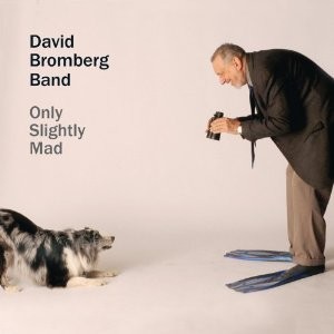 David Bromberg Only Slightly Mad CD cover