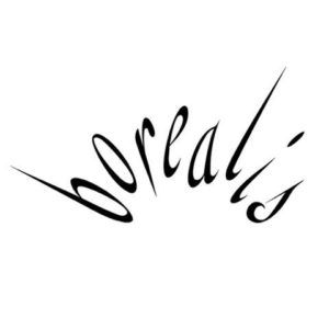 Broealis logo - square