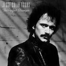 Jesse Colin Young the perfect stranger